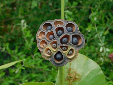 DSCN2285