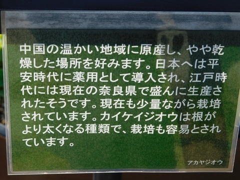 DSCN3835