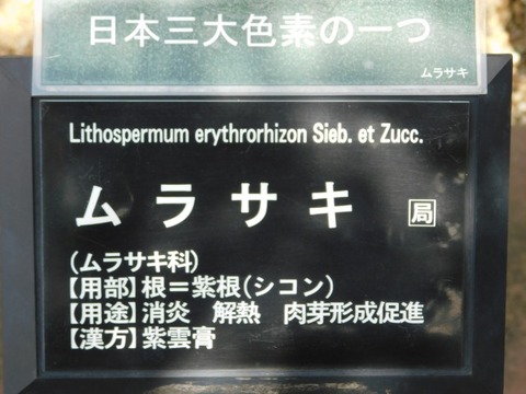 DSCN7198