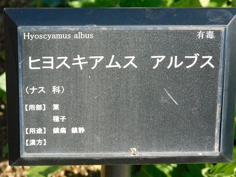 DSCN4788
