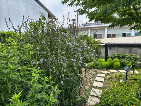 IMG_20260723_113002922_HDR