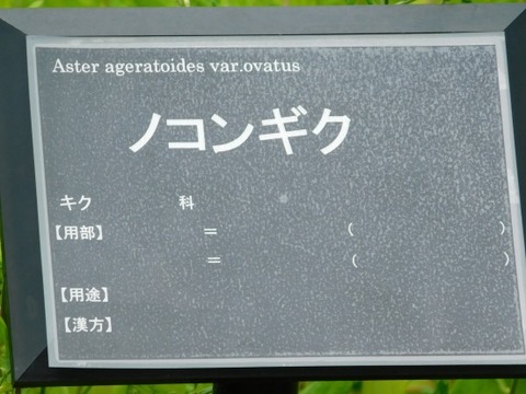 DSCN2119