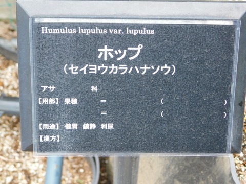 DSCN3674