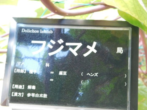DSCN2364