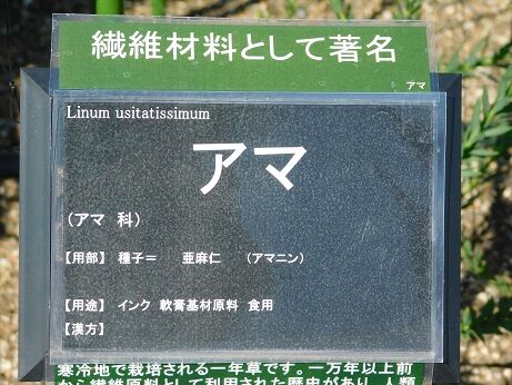 DSCN7208