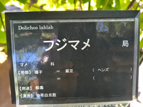 IMG_20261003_140917688_HDR