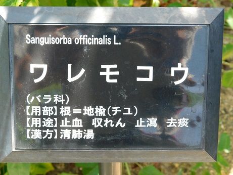 DSCN3659