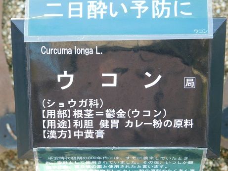 DSCN5840