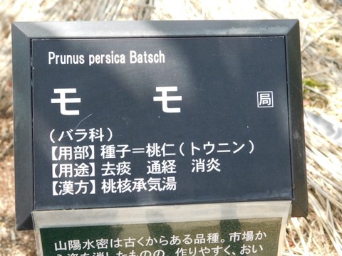 DSCN3917