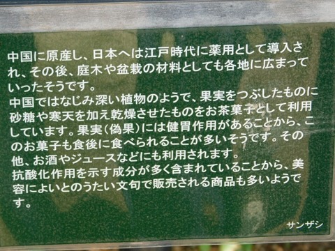 DSCN3898