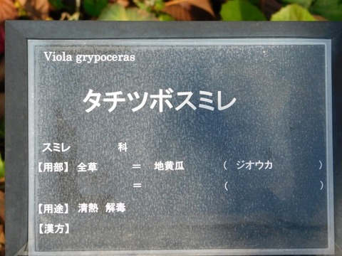 DSCN3328
