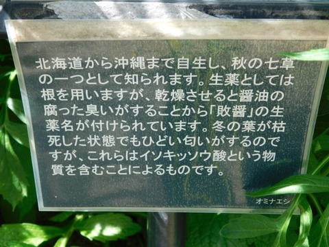 DSCN7180