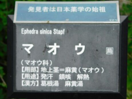 DSCN9910