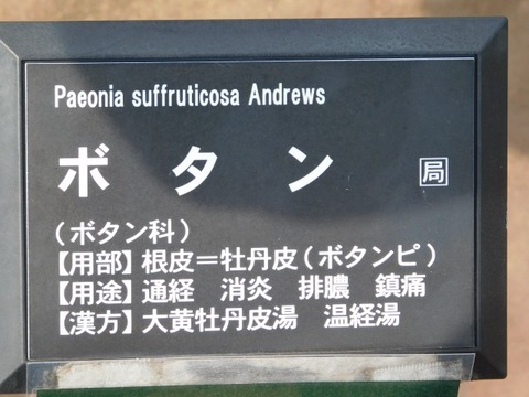 DSCN3599