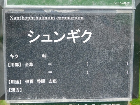 DSCN6514