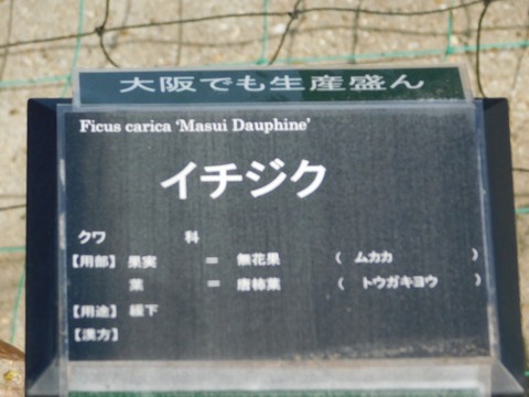 DSCN3846