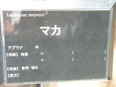 DSCN9468