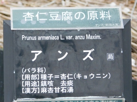 DSCN3625