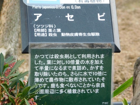 DSCN3530