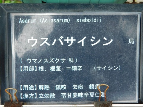DSCN6201