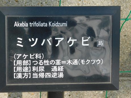 DSCN2468