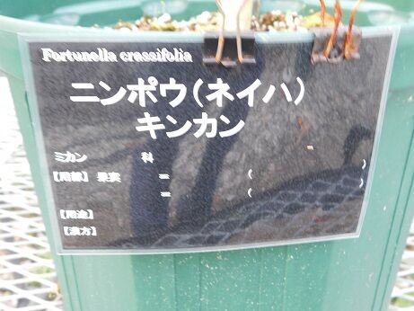 DSCN9053