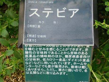 DSCN3855