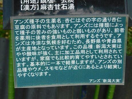 DSCN9630