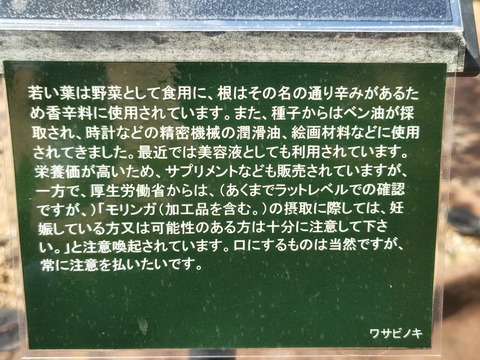 IMG_20260820_115719274_HDR