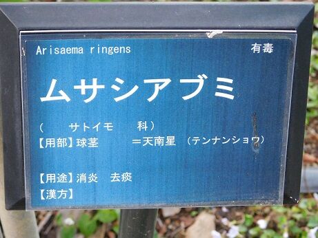 DSCN9037