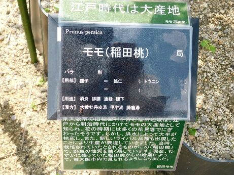DSCN8071