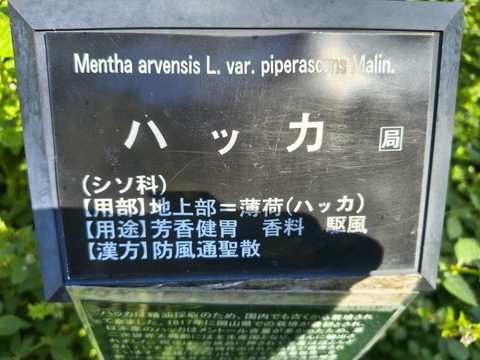 IMG_20261003_141353422_HDR