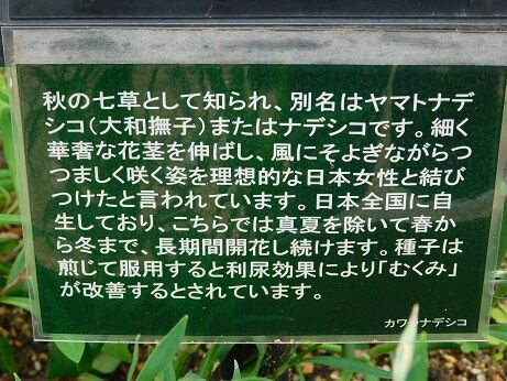 DSCN9645