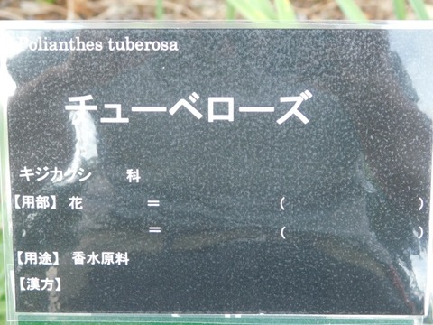 DSCN2798