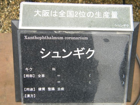 DSCN9001