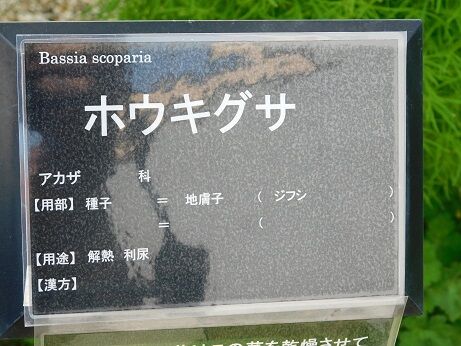 DSCN9717