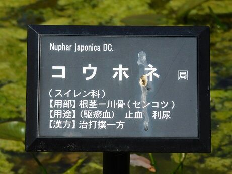 DSCN9330