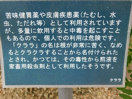 DSCN9602