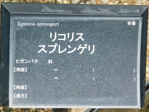 DSCN7489