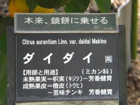DSCN9984