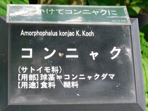 DSCN2307