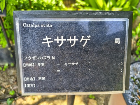 IMG_20260728_113311213_HDR