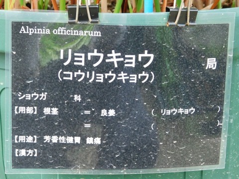 DSCN2281