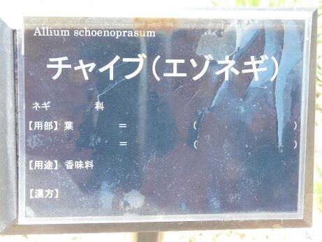 DSCN9352