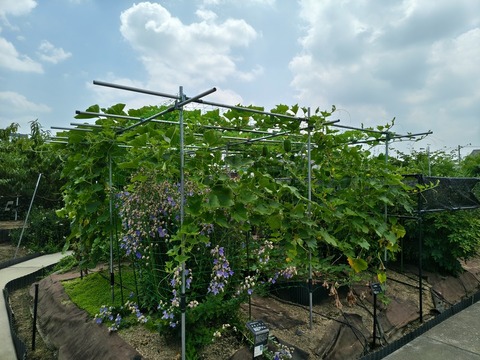 IMG_20260723_113155326_HDR