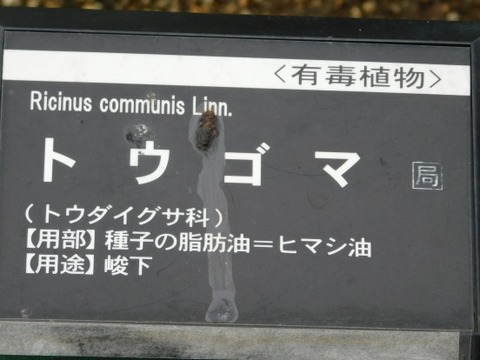 DSCN2074
