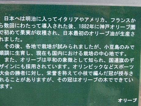 DSCN3870