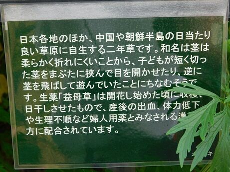 DSCN9462