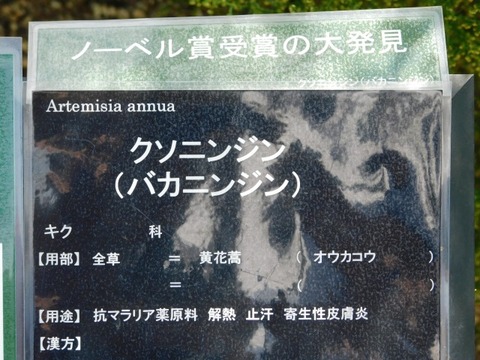 DSCN2774