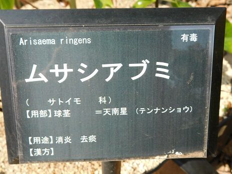 DSCN2443